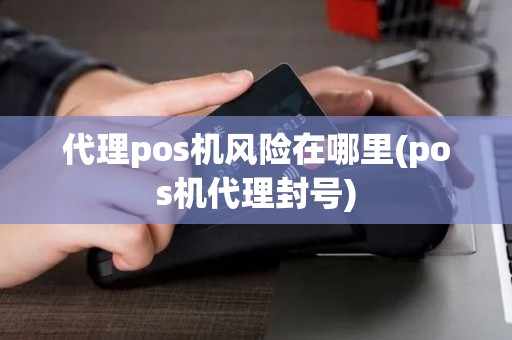 代理pos机风险在哪里(pos机代理封号)