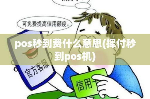pos秒到费什么意思(挥付秒到pos机)