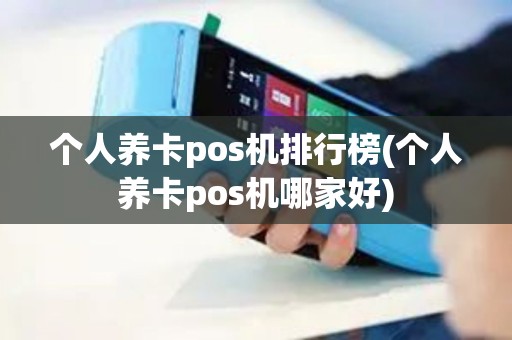 个人养卡pos机排行榜(个人养卡pos机哪家好)
