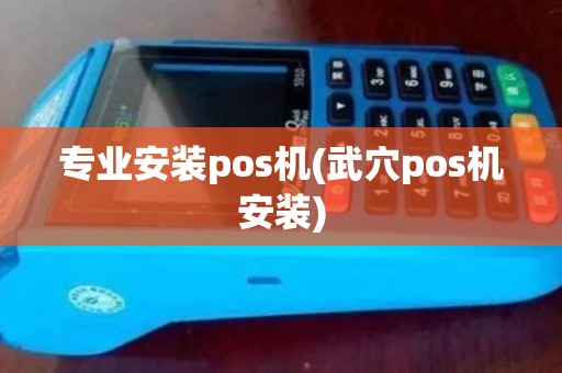 专业安装pos机(武穴pos机安装)