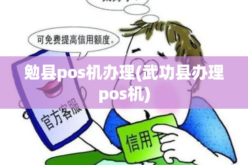 勉县pos机办理(武功县办理pos机)
