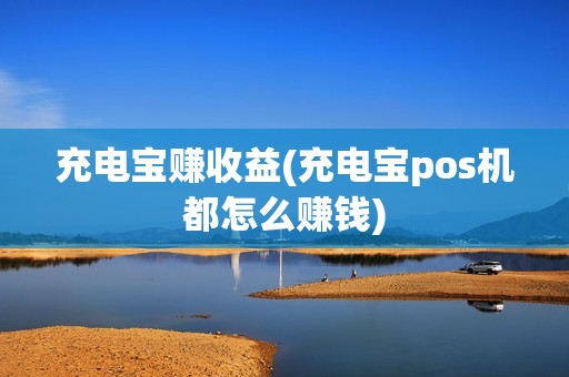 充电宝赚收益(充电宝pos机都怎么赚钱)