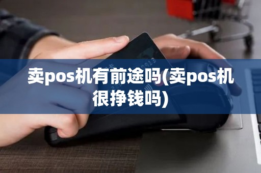 卖pos机有前途吗(卖pos机很挣钱吗)
