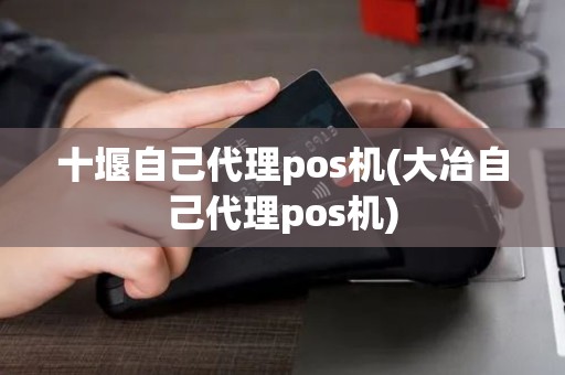 十堰自己代理pos机(大冶自己代理pos机)
