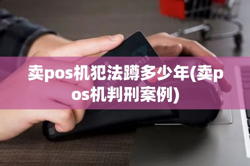 卖pos机犯法蹲多少年(卖pos机判刑案例)