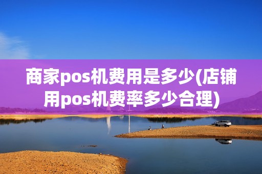 商家pos机费用是多少(店铺用pos机费率多少合理)