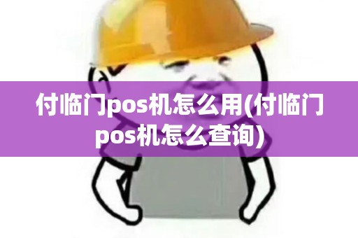 付临门pos机怎么用(付临门pos机怎么查询)