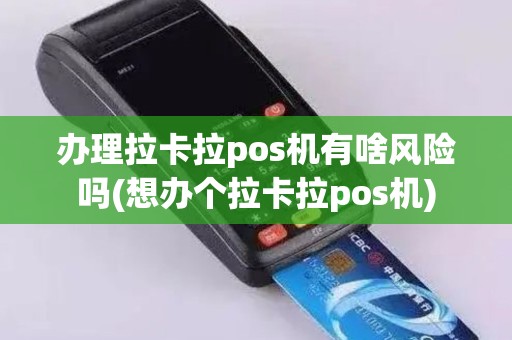 办理拉卡拉pos机有啥风险吗(想办个拉卡拉pos机)