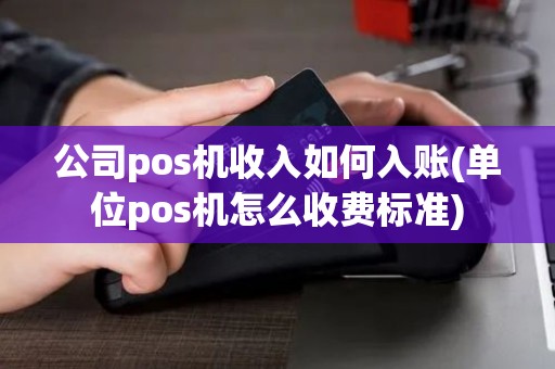 公司pos机收入如何入账(单位pos机怎么收费标准)