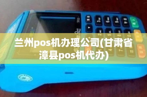 兰州pos机办理公司(甘肃省漳县pos机代办)