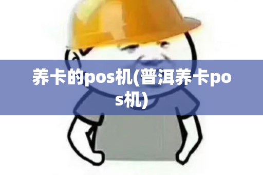 养卡的pos机(普洱养卡pos机)