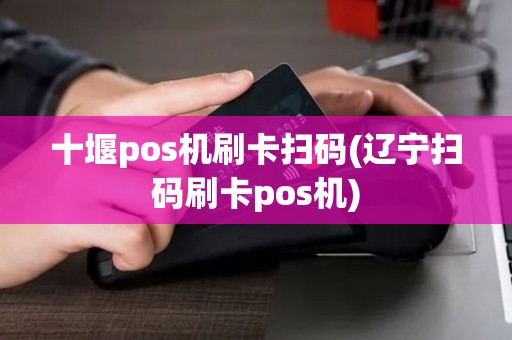 十堰pos机刷卡扫码(辽宁扫码刷卡pos机)