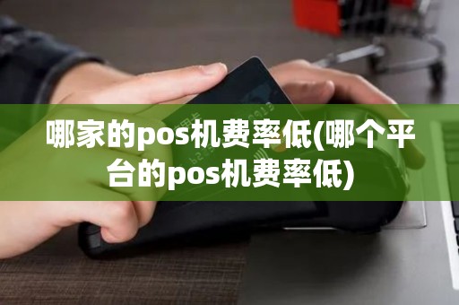 哪家的pos机费率低(哪个平台的pos机费率低)