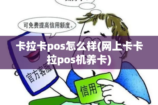 卡拉卡pos怎么样(网上卡卡拉pos机养卡)