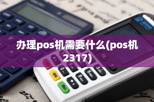 办理pos机需要什么(pos机2317)