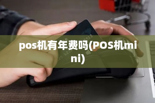 pos机有年费吗(POS机mini)