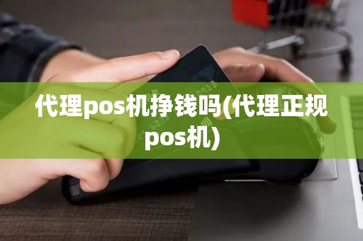 代理pos机挣钱吗(代理正规pos机)