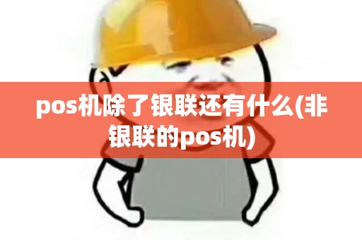 pos机除了银联还有什么(非银联的pos机)