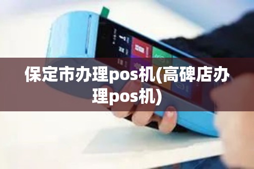 保定市办理pos机(高碑店办理pos机)