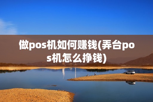 做pos机如何赚钱(弄台pos机怎么挣钱)
