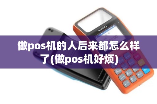 做pos机的人后来都怎么样了(做pos机好烦)