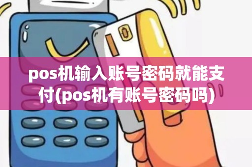 pos机输入账号密码就能支付(pos机有账号密码吗)