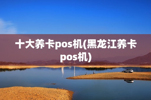 十大养卡pos机(黑龙江养卡pos机)