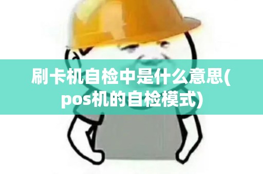 刷卡机自检中是什么意思(pos机的自检模式)