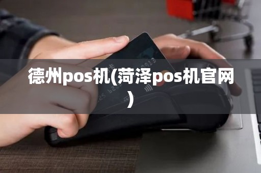 德州pos机(菏泽pos机官网)