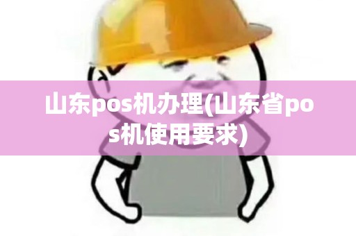 山东pos机办理(山东省pos机使用要求)
