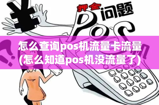 怎么查询pos机流量卡流量(怎么知道pos机没流量了)