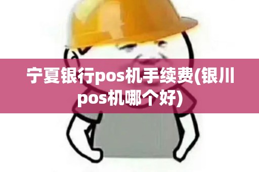 宁夏银行pos机手续费(银川pos机哪个好)