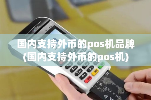 国内支持外币的pos机品牌(国内支持外币的pos机)