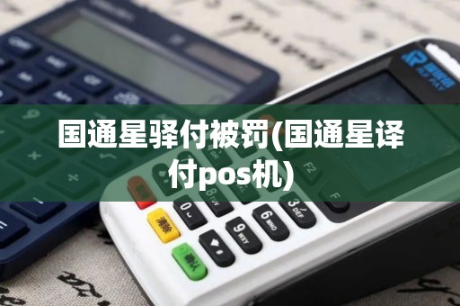 国通星驿付被罚(国通星译付pos机)