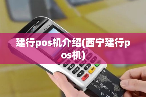 建行pos机介绍(西宁建行pos机)