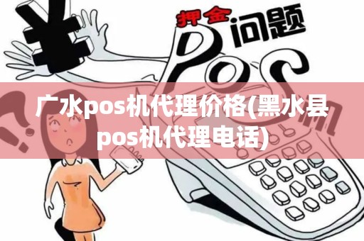 广水pos机代理价格(黑水县pos机代理电话)