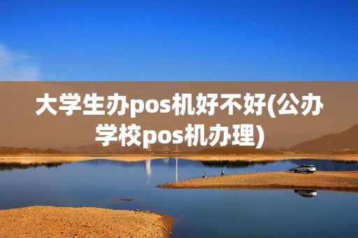 大学生办pos机好不好(公办学校pos机办理)