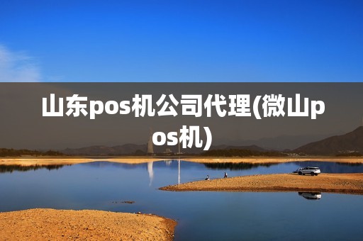 山东pos机公司代理(微山pos机)