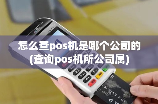 怎么查pos机是哪个公司的(查询pos机所公司属)