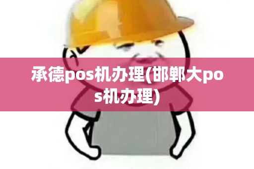 承德pos机办理(邯郸大pos机办理)