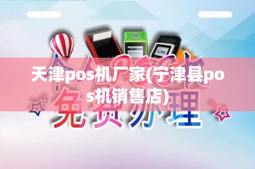 天津pos机厂家(宁津县pos机销售店)