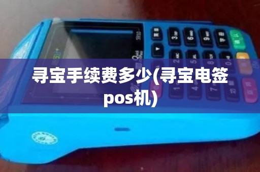寻宝手续费多少(寻宝电签pos机)