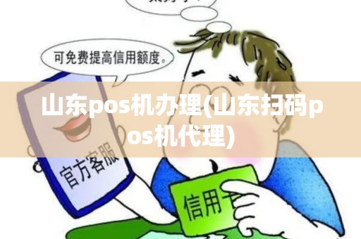 山东pos机办理(山东扫码pos机代理)