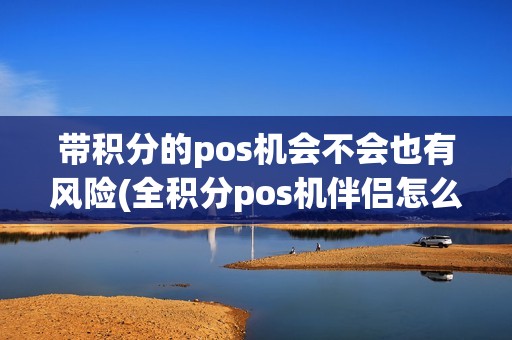 带积分的pos机会不会也有风险(全积分pos机伴侣怎么用)