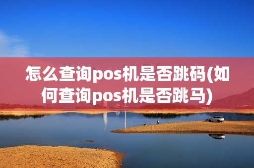 怎么查询pos机是否跳码(如何查询pos机是否跳马)