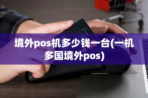 境外pos机多少钱一台(一机多国境外pos)