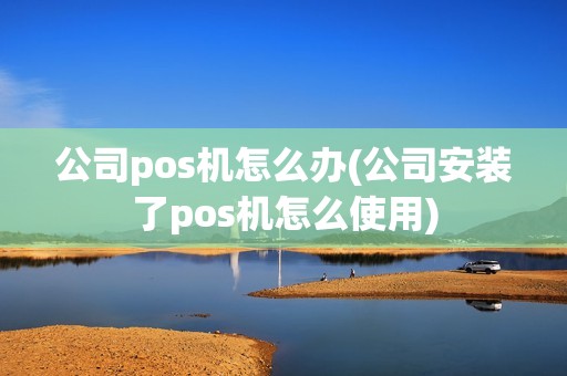 公司pos机怎么办(公司安装了pos机怎么使用)