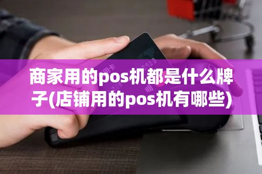 商家用的pos机都是什么牌子(店铺用的pos机有哪些)