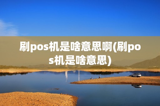 刷pos机是啥意思啊(刷pos机是啥意思)