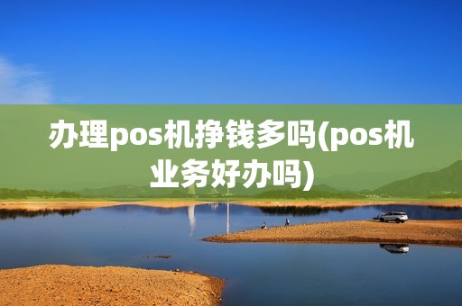 办理pos机挣钱多吗(pos机业务好办吗)